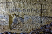 L'âne dupont