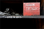 Réservé Drew Boy
